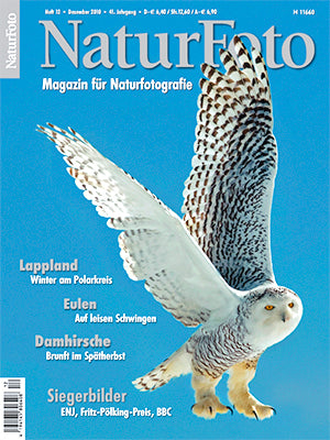 NaturFoto 12/2010